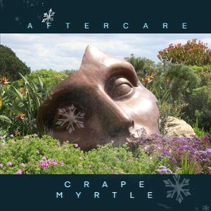 Crape Myrtle (Instrumental)