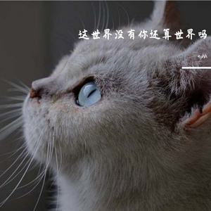 这世界没有你还算世界吗