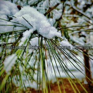 Constantly Strive To Become Stronger（自强不息）