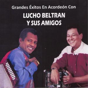 Caracoles de Colores