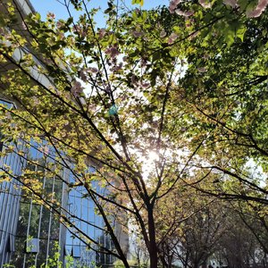 毕业（Prod by Lisure）