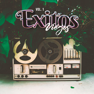 El Zapato y el Cordón