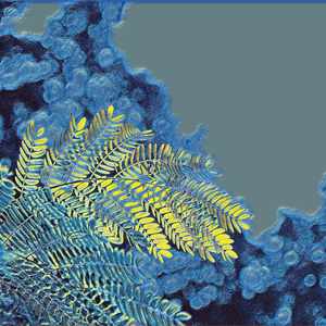 直到灯火通明 (铃铛曲)