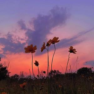 错觉 (Prod by STEPHENDAY)