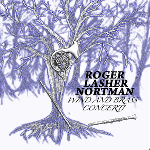 Oboe Concerto in D Minor: 1st Movement, op. 30: Allegro-Transition (Moderato)