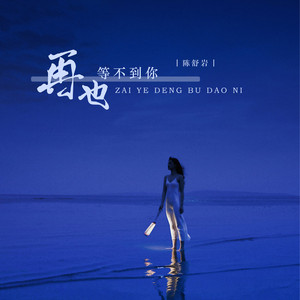 再也等不到你 (DJ阿卓版)