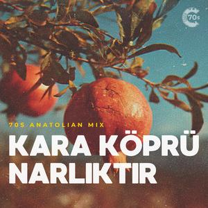 Kara Köprü Narlıktır