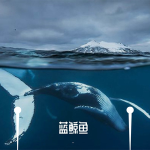 蓝鲸鱼(prod.10keys)