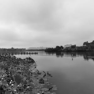 键盘乐器︴现代立式钢琴(88)逐高