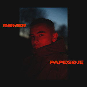 Papegøje