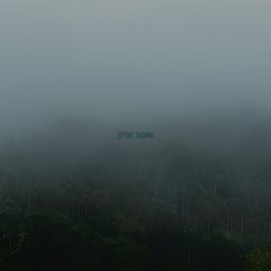 Душит тишина