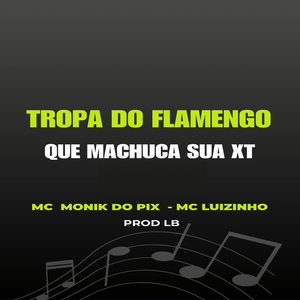 Tropa do Flamengo Que Machuca a Minha Xt (Funk)