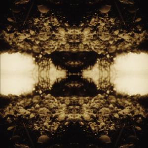 Book of Black Valentines