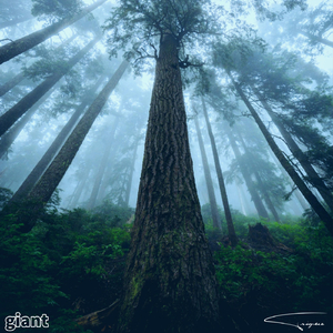 Giant (feat. Maya Glasgow)