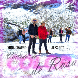 Vestida de Color de Rosa