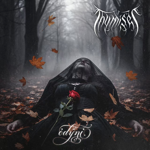 The Silence We Embrace