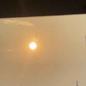 缘分落地生根是我们