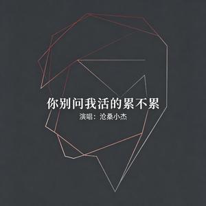 你别问我活的累不累