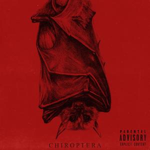 Chiroptera