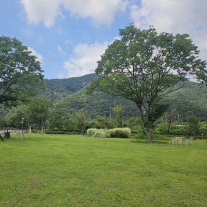 헤어짐을 고할 수 없어서