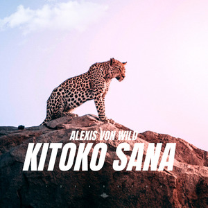 Kitoko Sana