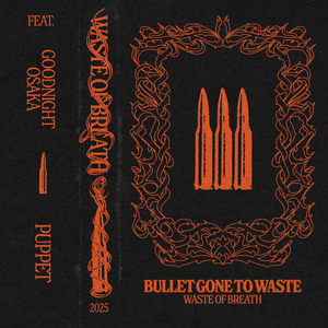 Bullet Gone To Waste