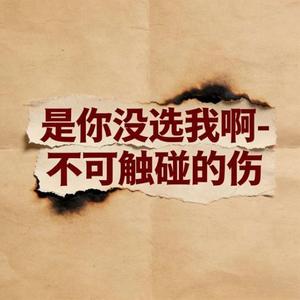 是你没选我啊 (烟嗓版)
