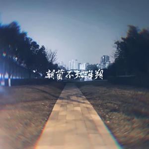 朝菌不知晦朔