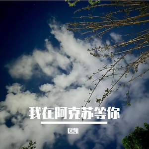 我在阿克苏等你