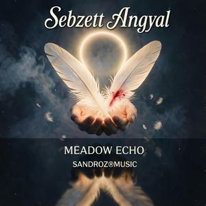 Sebzett Angyal