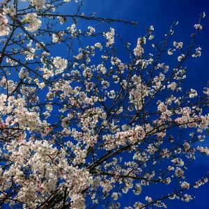 人生はコメディ