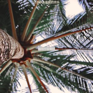 静止迷人的轻音乐