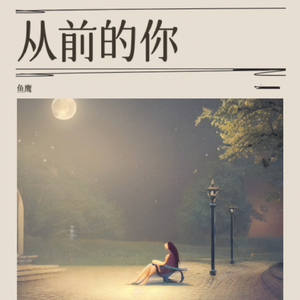 从前的你