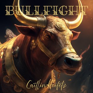 Bullfight