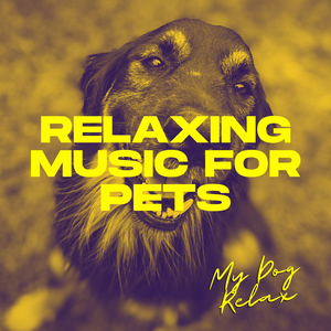 Pet Sound Therapy