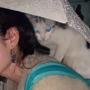 风起云涌