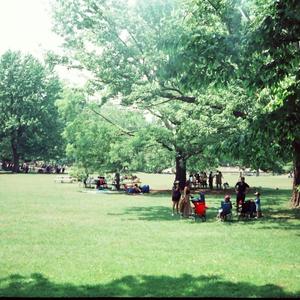 61 (Tunney's Pasture)