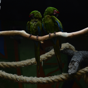 Lay Back (Sea Sound)