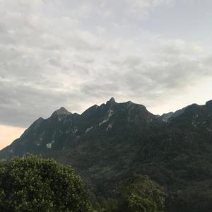 ดอกหญ้าในเมืองไฟ