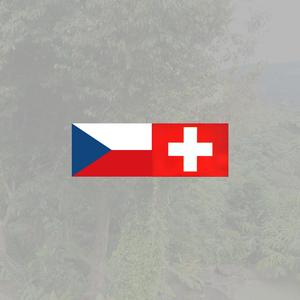 CZECH SWISS (feat. RIZZU, STUMP, KNEAF, MAYA FROM THE BURGH & SEBBYPICKLES)