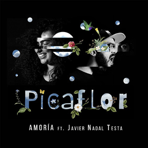 Picaflor