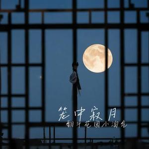 笼中寂月