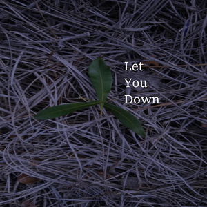 Let You Down