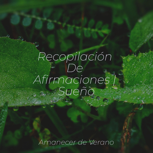 Ecos Nostálgicos en Armonía