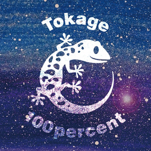 真夜中ワンダーナイト