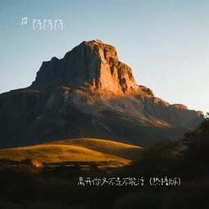 离开你又不是不能活