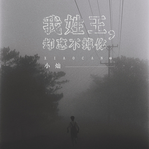 我姓王，却忘不掉你
