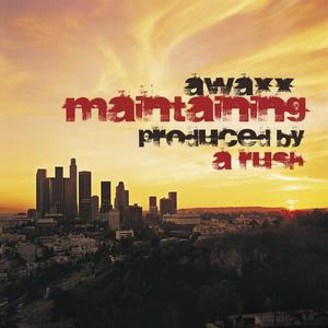 Maintaining (feat. Mr.Schmuck)