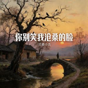 你别笑我沧桑的脸