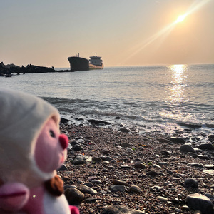 失落沙洲（男版）